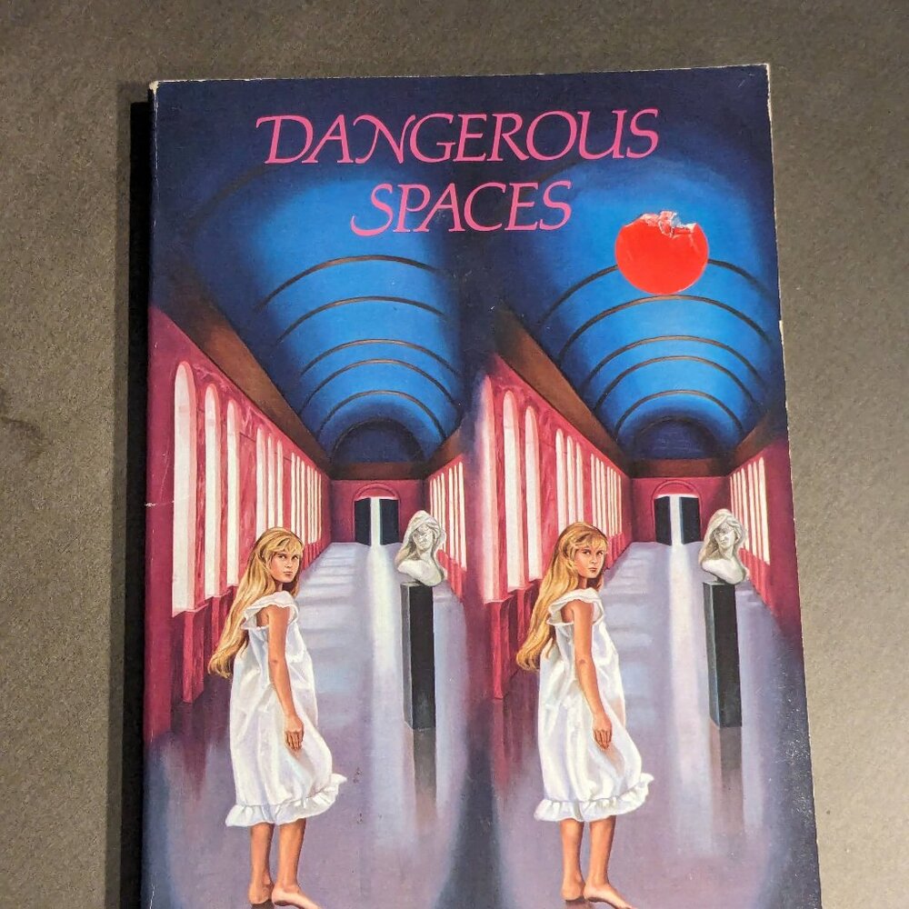Dangerous Spaces (1993 Paperback) by Margaret Mahy